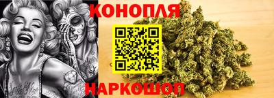 крисы Волжский