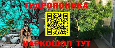 крисы Волжский