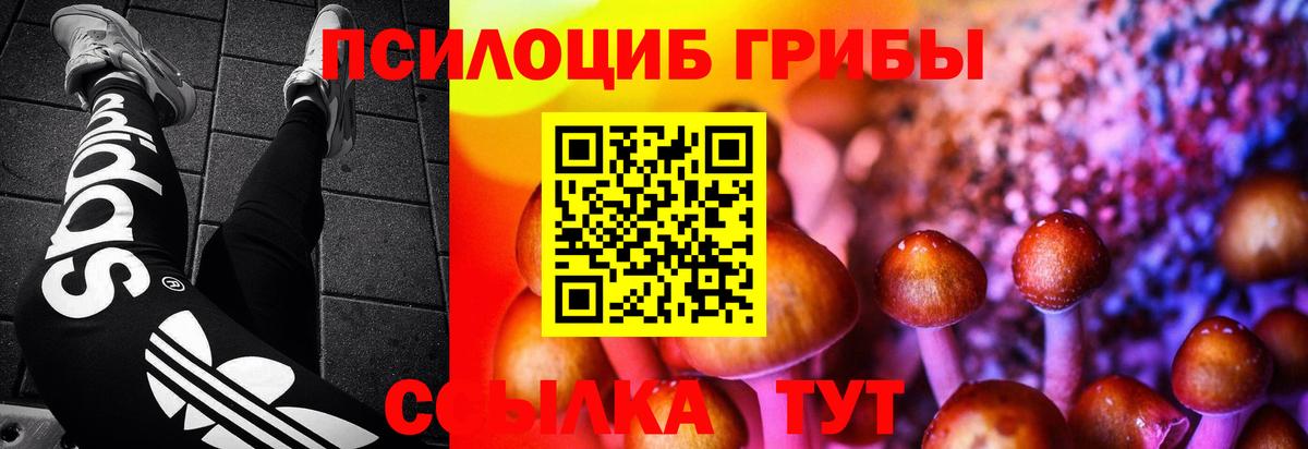 Псилоцибиновые грибы ЛСД  Галлюциногенные грибы Psilocybine cubensis  Мытищи  Вход с VPN 
