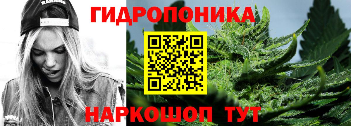 Марихуана марихуана  Бошки марихуана SATIVA & INDICA  Мытищи  Вход с VPN  Каннабис планчик 