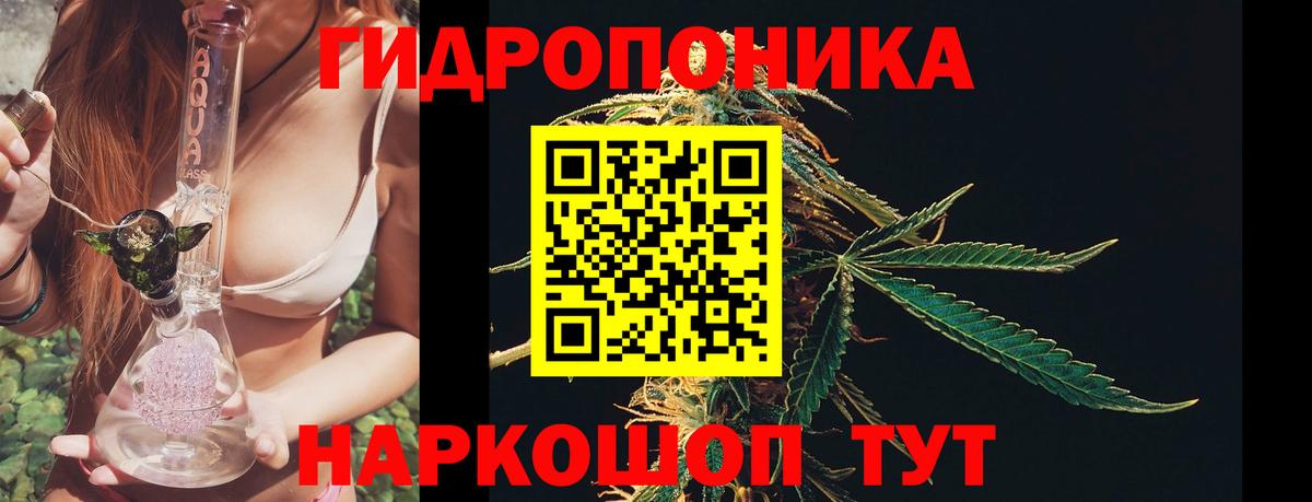 МАРИХУАНА сатива Мытищи